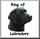 Click
                                                                                                                                                                                    to join the ring of Labrador Retrievers